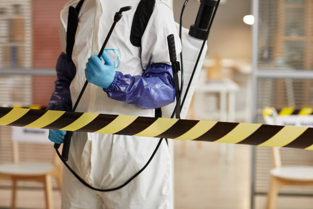 Professional Sewage Cleanup technician working in El Nido, CA